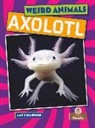 Amy Culliford - Axolotl