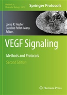 Lorna R. Fiedler, Pellet-Many, Caroline Pellet-Many, Lorna R Fiedler - VEGF Signaling