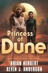 Kevin J Anderson, Kevin J. Anderson, Brian Herbert - Princess of Dune