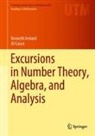 Al Cuoco, Kenneth Ireland - Excursions in Number Theory, Algebra, and Analysis