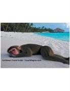 TravelMagma - Caribbean Travel Guide - Explore the Caribbean Islands