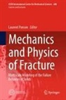 Laurent Ponson, Laurent Ponson - Mechanics and Physics of Fracture