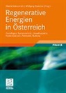 Martin Kaltschmitt, Wolfgang Streicher - Regenerative Energien in Österreich