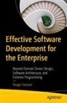 Tengiz Tutisani - Effective Software Development for the Enterprise