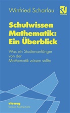 Winfried Scharlau - Schulwissen Mathematik: Ein Überblick