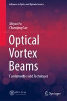 Shiyao Fu, Chunqing Gao - Optical Vortex Beams
