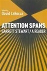 Garrett Stewart, David Larocca - Attention Spans
