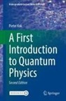 Pieter Kok - A First Introduction to Quantum Physics