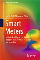 Djaffar Ould Abdeslam - Smart Meters