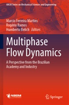 Humberto Belich, Marcio Ferreira Martins, Rogério Ramos - Multiphase Flow Dynamics