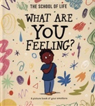 The School of Life, Daniel Gray-Barnett - What Are You Feeling?