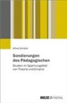 Alfred Schäfer - Sondierungen des Pädagogischen