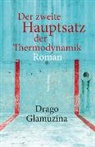 Drago Glamuzina, Klaus Detlef Olof - Der zweite Hauptsatz der Thermodynamik