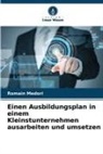 Romain Medori - Einen Ausbildungsplan in einem Kleinstunternehmen ausarbeiten und umsetzen