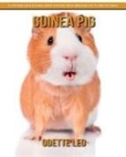 Odette Leo - Guinea Pig