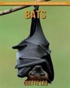 Odette Leo - Bats