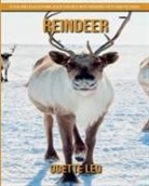 Odette Leo - Reindeer