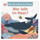Sandra Grimm, Jean Claude, DK Verlag - Kids - Mein Pop-up-Buch zum Staunen. Wer lebt im  Meer?