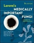 Eileen M Burd, Eileen M. Burd, Shawn R Lockhart, Shawn R. Lockhart, Gary W. Procop, Lars F Westblade... - Larone's Medically Important Fungi