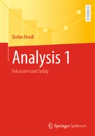 Stefan Friedl - Analysis 1