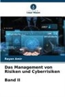 Rayan Amir - Das Management von Risiken und Cyberrisiken Band II