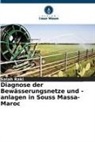 Salah Raki - Diagnose der Bewässerungsnetze und -anlagen in Souss Massa-Maroc