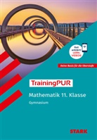 Claudia Hagan - STARK Mathematik 11. Klasse - TrainingPUR Gymnasium - Grundwissen, Aufgaben und Lösungen
