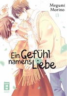 Megumi Morino - Ein Gefühl namens Liebe 13