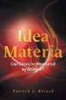 Patrick J. Ricard - Idea Materia