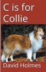David Holmes - C is for Collie