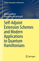 Matteo Gallone, Alessandro Michelangeli - Self-Adjoint Extension Schemes and Modern Applications to Quantum Hamiltonians