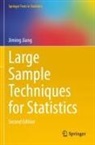 Jiming Jiang - Large Sample Techniques for Statistics