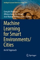 Alfonso González-Briones, Jos Manuel Molina López, Gonçalo Marques, José Manuel Molina López - Machine Learning for Smart Environments/Cities