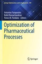 Antonios Fytopoulos, Panos M Pardalos, Panos M. Pardalos, Rohit Ramachandran - Optimization of Pharmaceutical Processes