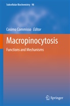 Cosimo Commisso - Macropinocytosis