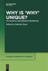 Gabriela Soare - Why is 'Why' Unique?