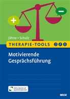 Andreas Jähne, Cornelia Schulz - Therapie-Tools Motivierende Gesprächsführung