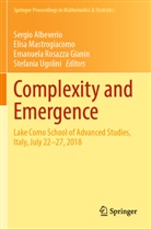 Sergio Albeverio, Elisa Mastrogiacomo, Emanuela Rosazza Gianin, Emanuel Rosazza Gianin et al, Stefania Ugolini - Complexity and Emergence