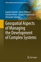 Eugene Istomin, Valery Mikheev, Yaroslav Petrov, Yaroslav e Petrov, Sergey Prisyazhnyuk, Alexander Sokolov - Geospatial Aspects of Managing the Development of Complex Systems