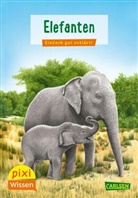 Hanna Sörensen, Jochen Windecker - Pixi Wissen 18: Elefanten