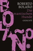 Roberto Bolaño - Die romantischen Hunde