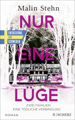 Malin Stehn - Nur eine Lüge - Zwei Familien, eine tödliche Verbindung - der psychologisch einfühlsame, spannende Bestseller aus Schweden