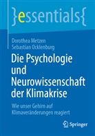 Dorothea Metzen, Sebastian Ocklenburg - Die Psychologie und Neurowissenschaft der Klimakrise