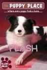 Ellen Miles - Flash (the Puppy Place #6)