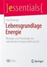 Jens Boenigk - Lebensgrundlage Energie