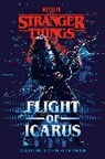 Caitlin Schneiderhan - Stranger Things: Flight of Icarus