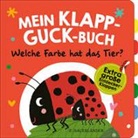 Susanne Weber, Tina Schulte - Mein Klapp-Guck-Buch: Welche Farbe hat das Tier?