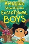 Emily Lin - Amazing Stories for Exceptional Boys