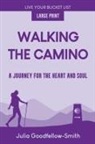 Julia Goodfellow-Smith - Walking the Camino
