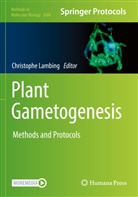 Christophe Lambing - Plant Gametogenesis